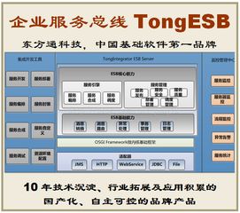 攜手東方通tongesb，共創(chuàng)數(shù)字化轉(zhuǎn)型新篇章 誠邀客戶、伙伴與渠道合作共贏